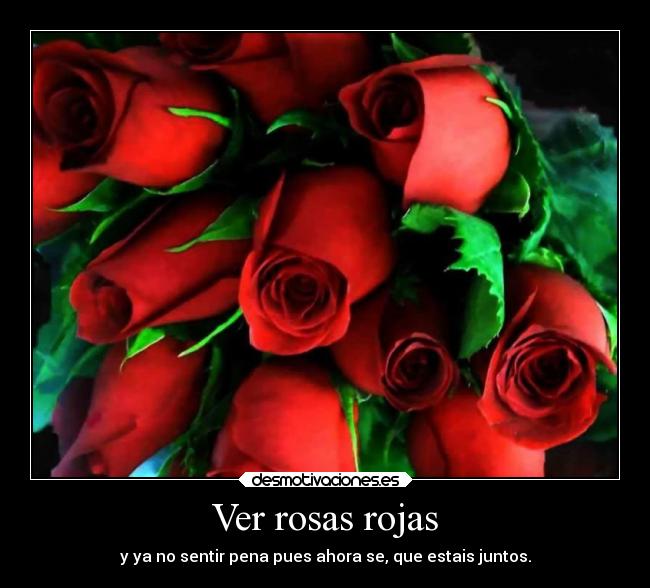 Ver rosas rojas - y ya no sentir pena pues ahora se, que estais juntos.