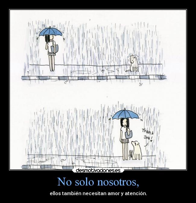 No solo nosotros, - 