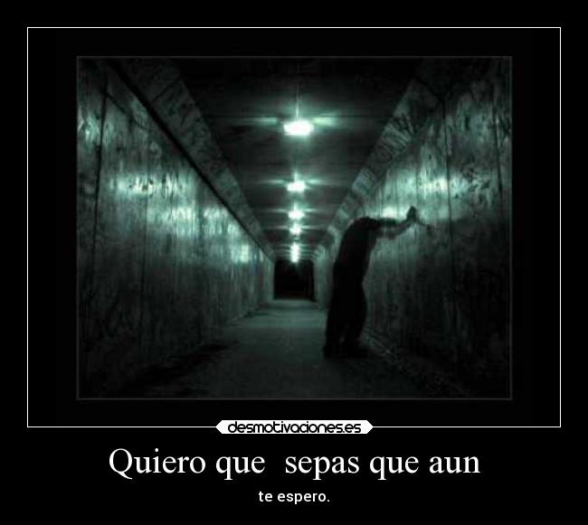 Quiero que sepas que aun - te espero.