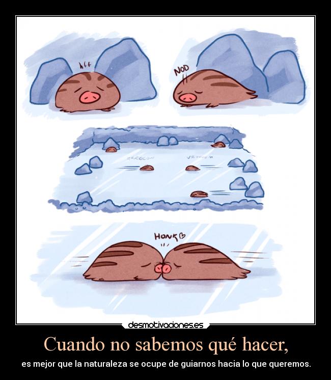 carteles besos ayuda ideas internet corazon amor videojuegos pokemon devilbrigade swinub ruta helada hielo desmotivaciones