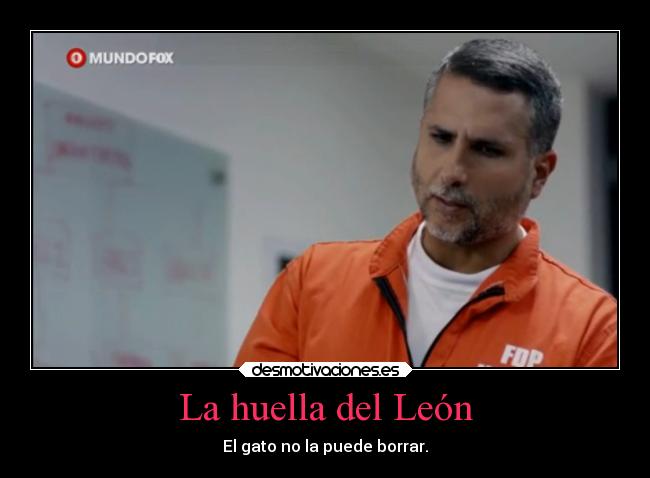 carteles bogota elcapo capo series desmotivaciones