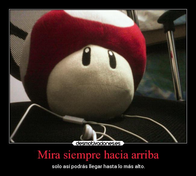 Mira siempre hacia arriba - solo así podrás llegar hasta lo más alto.