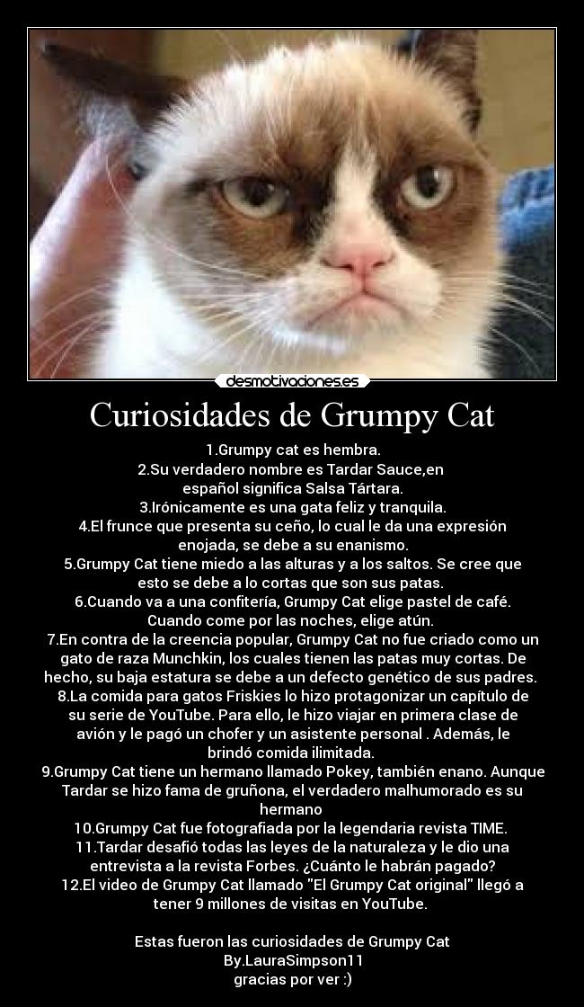 Curiosidades de Grumpy Cat - 1.Grumpy cat es hembra.
2.Su verdadero nombre es Tardar Sauce,en 
español significa Salsa Tártara.
3.Irónicamente es una gata feliz y tranquila.
4.El frunce que presenta su ceño, lo cual le da una expresión
enojada, se debe a su enanismo.
5.Grumpy Cat tiene miedo a las alturas y a los saltos. Se cree que
esto se debe a lo cortas que son sus patas. 
6.Cuando va a una confitería, Grumpy Cat elige pastel de café.
Cuando come por las noches, elige atún. 
7.En contra de la creencia popular, Grumpy Cat no fue criado como un
gato de raza Munchkin, los cuales tienen las patas muy cortas. De
hecho, su baja estatura se debe a un defecto genético de sus padres. 
8.La comida para gatos Friskies lo hizo protagonizar un capítulo de
su serie de YouTube. Para ello, le hizo viajar en primera clase de
avión y le pagó un chofer y un asistente personal . Además, le
brindó comida ilimitada. 
9.Grumpy Cat tiene un hermano llamado Pokey, también enano. Aunque
Tardar se hizo fama de gruñona, el verdadero malhumorado es su
hermano 
10.Grumpy Cat fue fotografiada por la legendaria revista TIME. 
11.Tardar desafió todas las leyes de la naturaleza y le dio una
entrevista a la revista Forbes. ¿Cuánto le habrán pagado?
12.El video de Grumpy Cat llamado El Grumpy Cat original llegó a
tener 9 millones de visitas en YouTube. 

Estas fueron las curiosidades de Grumpy Cat
By.LauraSimpson11
gracias por ver :)
