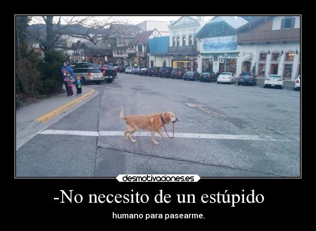 -No necesito de un estúpido -