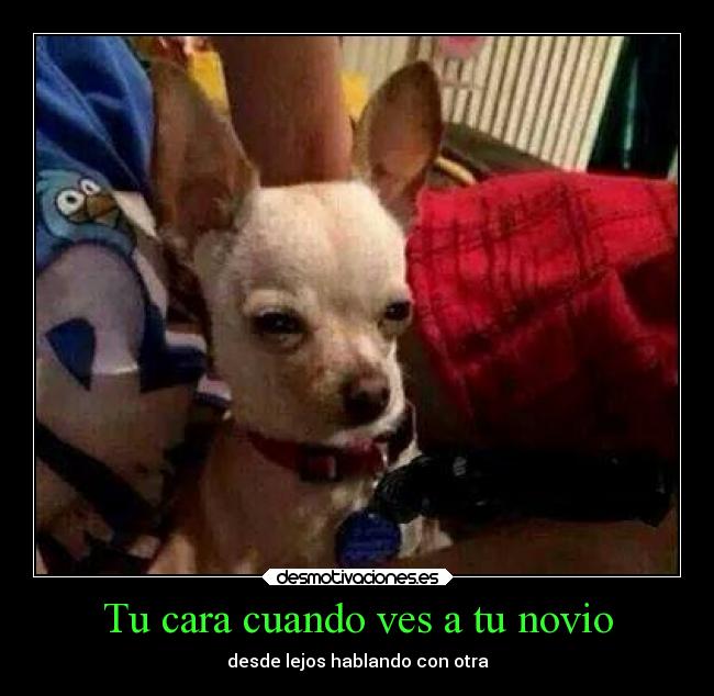 Tu cara cuando ves a tu novio - desde lejos hablando con otra