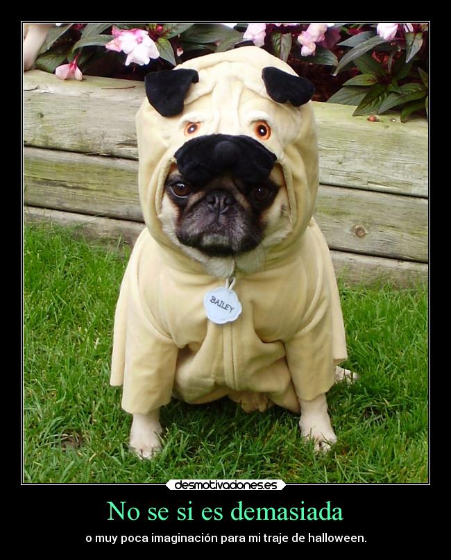 No se si es demasiada - o muy poca imaginación para mi traje de halloween.