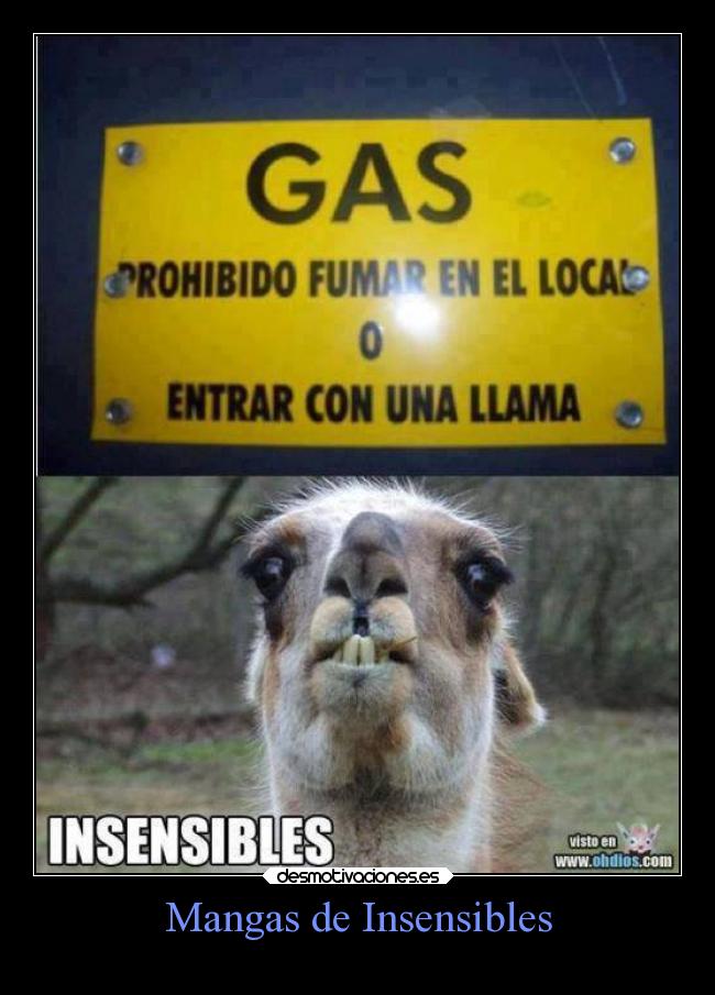 Mangas de Insensibles - 