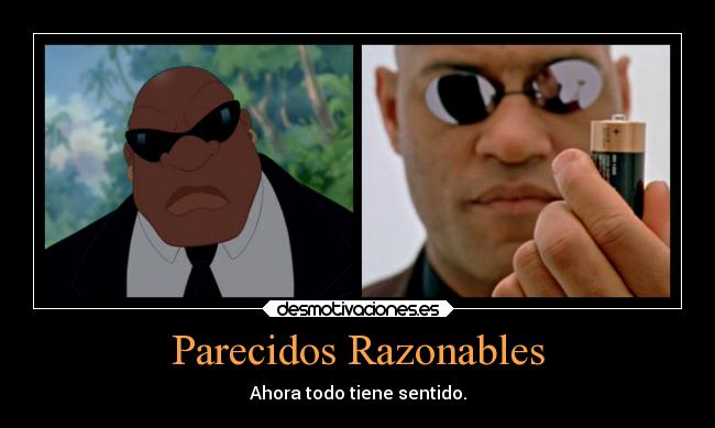 Parecidos Razonables - 