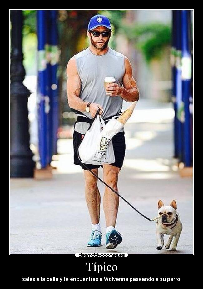 Típico - sales a la calle y te encuentras a Wolverine paseando a su perro.
