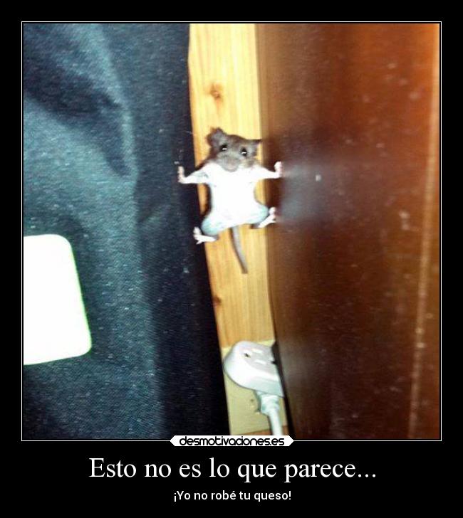 Esto no es lo que parece... - 