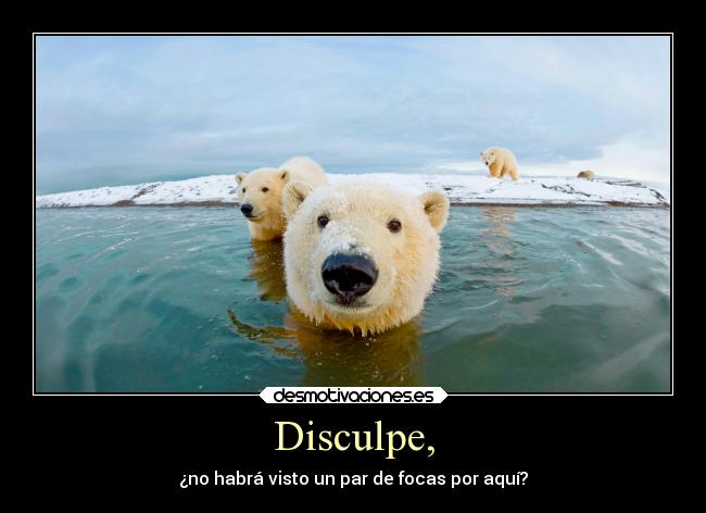 Disculpe, - 