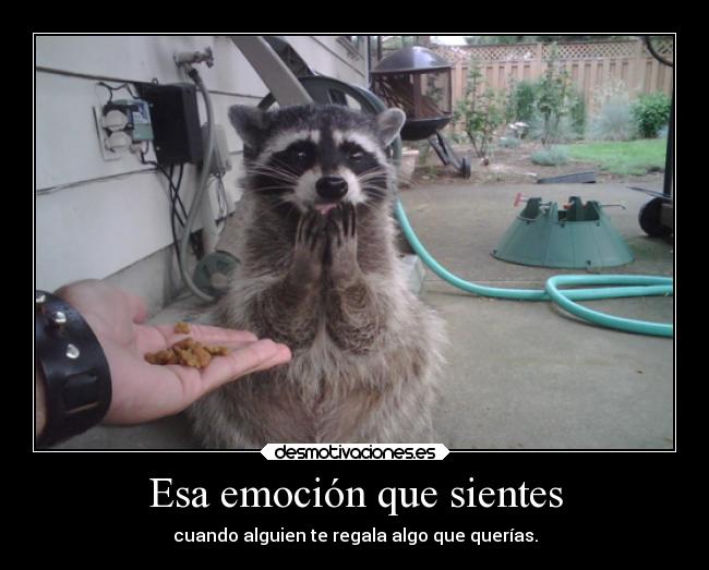 carteles comida humor breathebreathe desmotivaciones