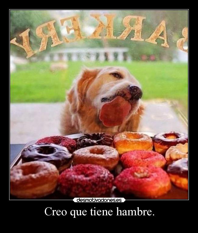 Creo que tiene hambre. -