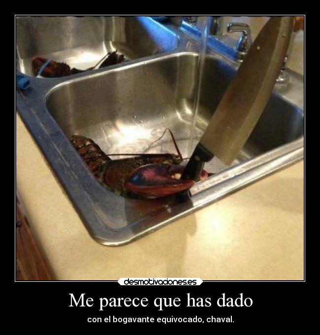 Me parece que has dado -