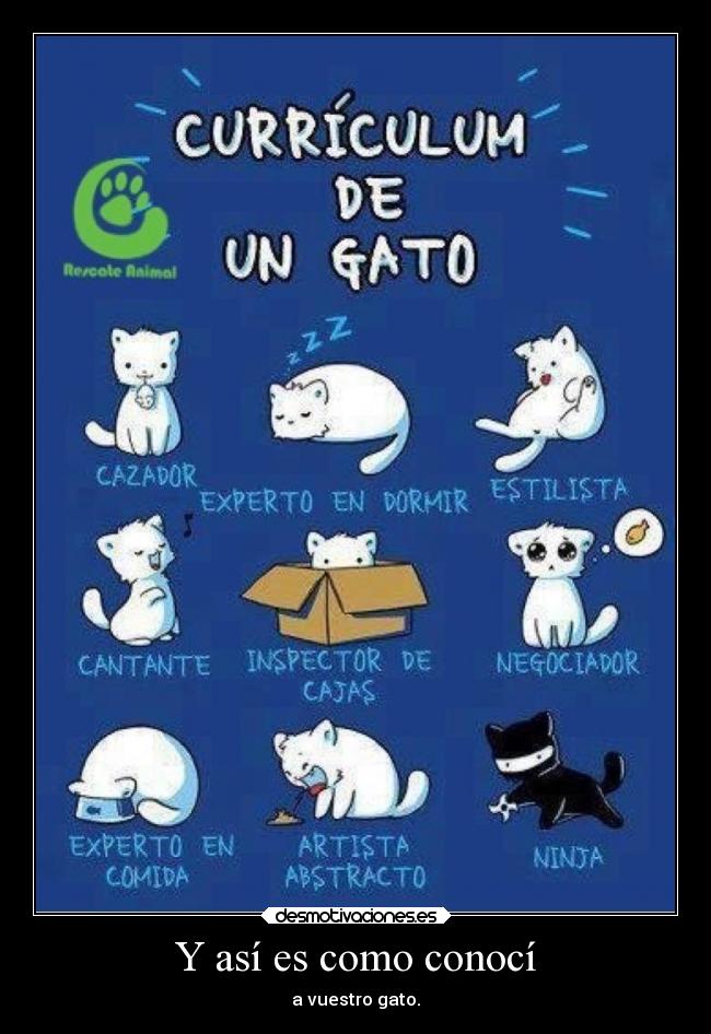 Y así es como conocí - a vuestro gato.