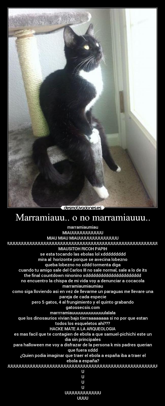 Marramiauu.. o no marramiauuu.. - marramiaumiau
MIAUUUUUUUUUUUU
MIAU MIAU MIAUUUUUUUUUUUUUUU
MIAUUUUUUUUUUUUUUUUUUUUUUUUUUUUUUUUUUUUUUUUUUUUUUUUUUUUUUUUUUUUUUUUUUUUUUUUUUUUUUUUUUUUUUUUUUUUUUUUUUUUUUUUUUUUUUUUUUUUUU
MIAUSITOH RICOH PAPIH
se esta tocando las ebolas lol xddddddddd
mira al  horizonte porque se avecina lobezno
queba lobezno no xddd tormenta diga
cuando tu amigo sale del Carlos III no sale normal, sale a lo de its
the final countdown ninonino xdddddddddddddddddddddd
no encuentro la chispa de mi vida voy a denunciar a cocacola
marramiaumiaumiau
como siga lloviendo asi en vez de llevarme un paraguas me llevare una
pareja de cada especie
pero 5 gatos, 4 al frungimiento y el quinto grabando
gatossecsis.com
marrrramiauuuuuuuuuuuuulalala
que los dinosaurios vivian bajo tierraaaaaaaa si no por que estan
todos los esqueletos ahi???
HACKE MATE A LA ARQUEOLOGIA
es mas facil que te contagien de ebola a que samuel-pichichi este un
dia sin principales
para halloween me voy a disfrazar de la persona k mis padres querian
que fuera xddd
¿Quien podia imaginar que traer el ebola a españa iba a traer el
ebola a españa?
MARRRAAAAAAAAAAAAAAAMIAUUUUUUUUUUUUUUUUUUUUUUUUUUUUUUUUUUUUUUUUUUUUUUUUUUUUUUUUUUUUUUUUUUUUUUUUUUUUUUUUUUUUUU
U
U
U
U
UUUUUUUUUUUUU
UUUU