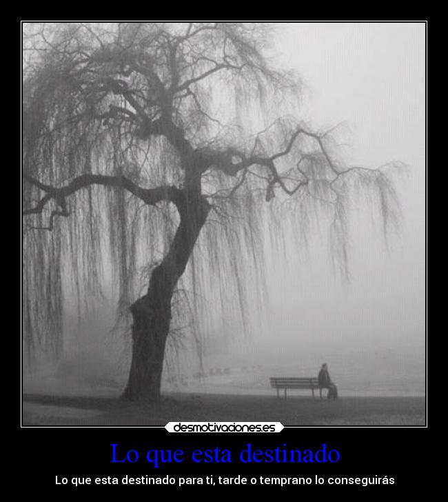 carteles confianza nunca rindas desmotivaciones