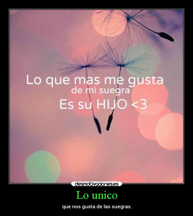 Lo unico - que nos gusta de las suegras.