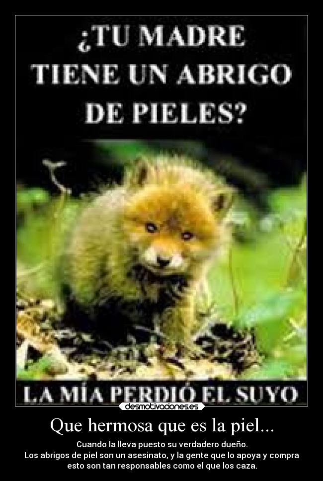 Que hermosa que es la piel... - Cuando la lleva puesto su verdadero dueño.
Los abrigos de piel son un asesinato, y la gente que lo apoya y compra
esto son tan responsables como el que los caza.