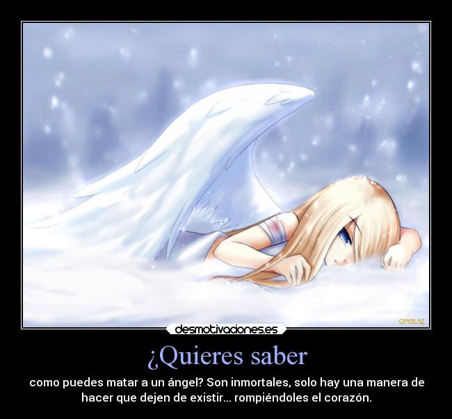 carteles corazon desamor rota sola triste lagrimas angel desaparecer yppanime28 desmotivaciones