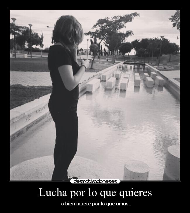 Lucha por lo que quieres - 