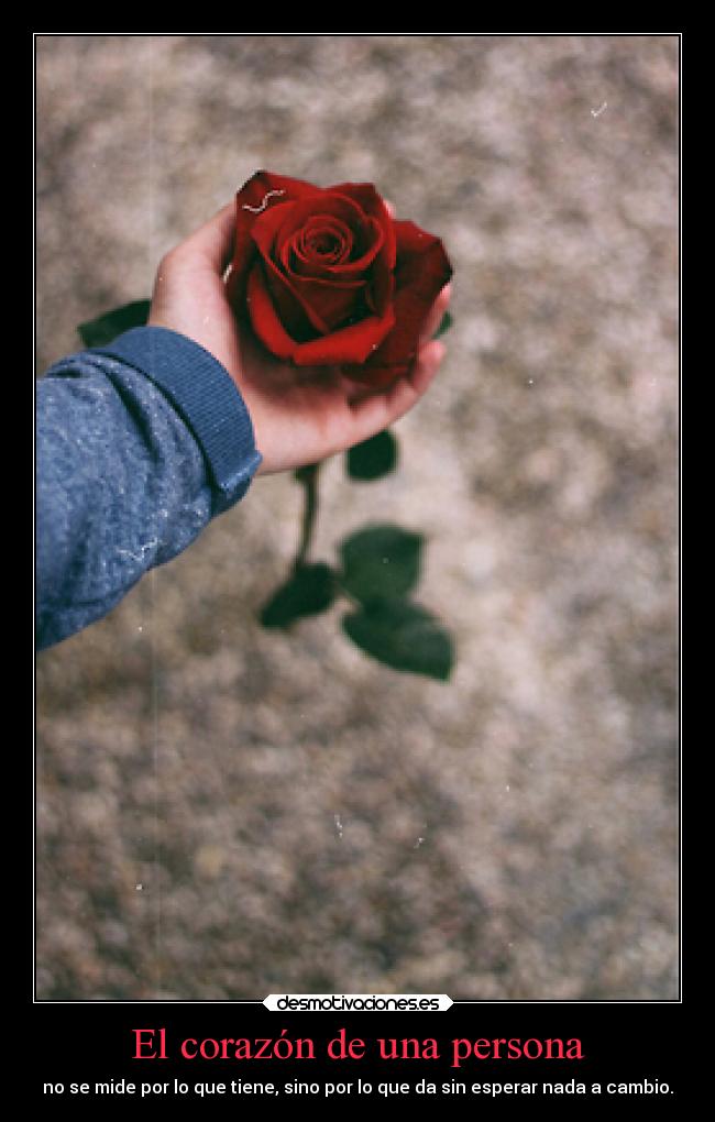 El corazón de una persona -