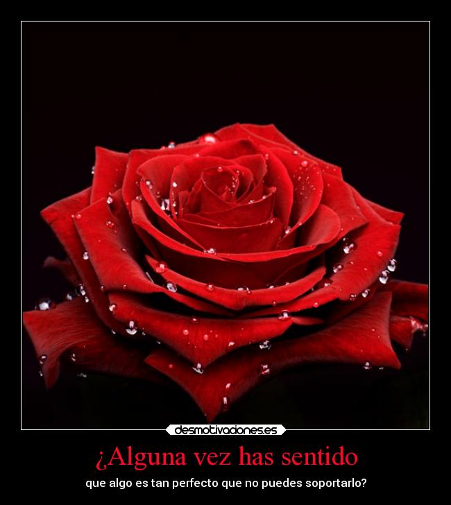 ¿Alguna vez has sentido -