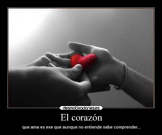 El corazón - que ama es ese que aunque no entiende sabe comprender...