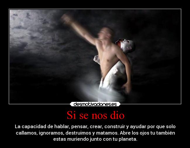 carteles debilidad ayuda animales naturaleza mundo tristeza vida suenos desmotivaciones