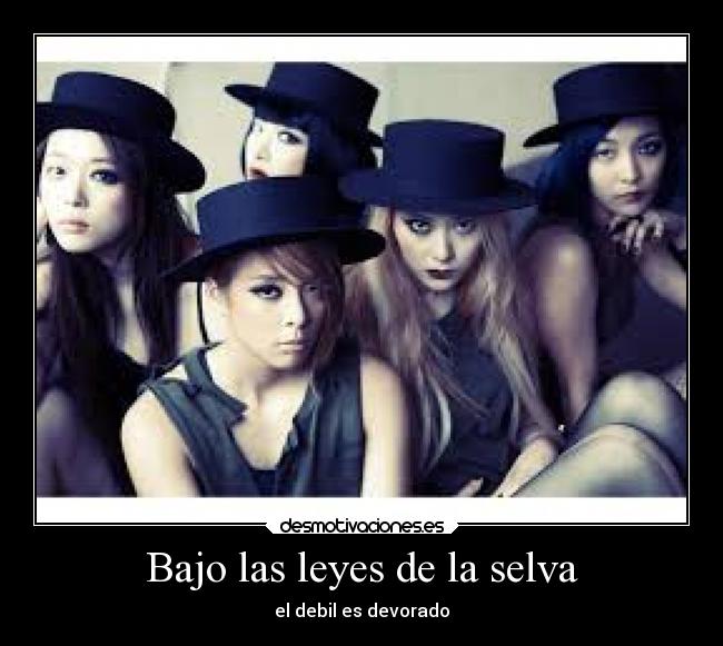 Bajo las leyes de la selva -