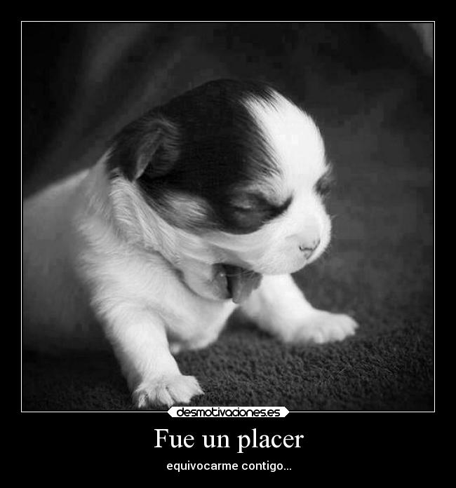 Fue un placer -