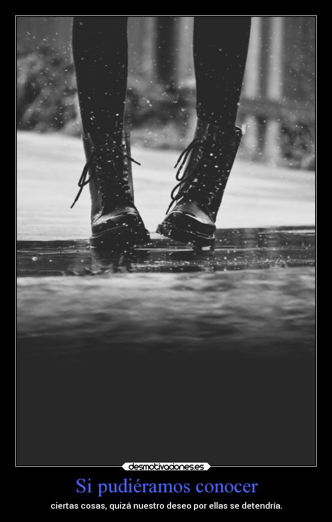 Si pudiéramos conocer -