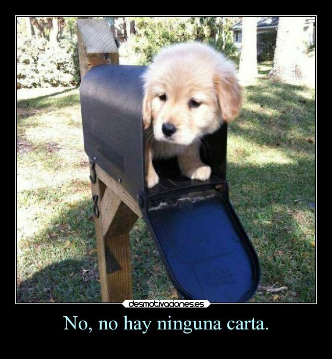 No, no hay ninguna carta. - 