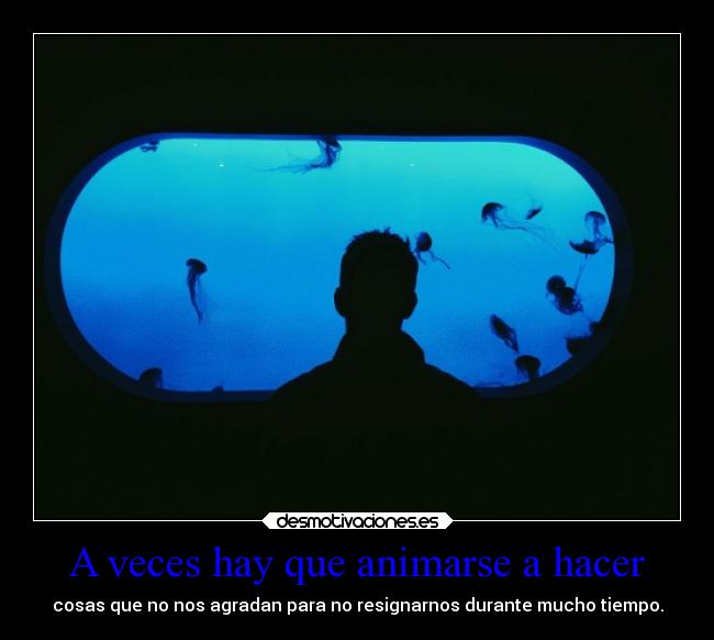 A veces hay que animarse a hacer -