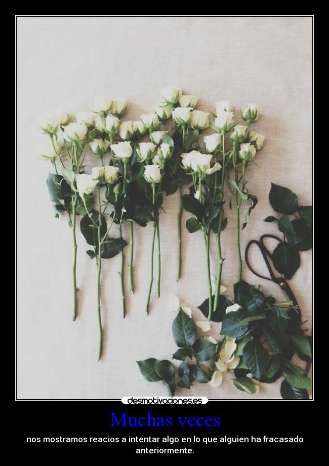 Muchas veces - nos mostramos reacios a intentar algo en lo que alguien ha fracasado
anteriormente.