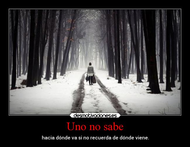 Uno no sabe - hacia dónde va si no recuerda de dónde viene.