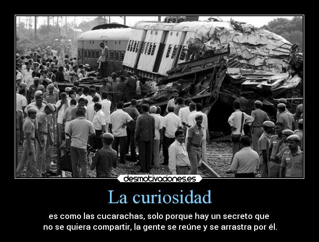La curiosidad - es como las cucarachas, solo porque hay un secreto que
no se quiera compartir, la gente se reúne y se arrastra por él.