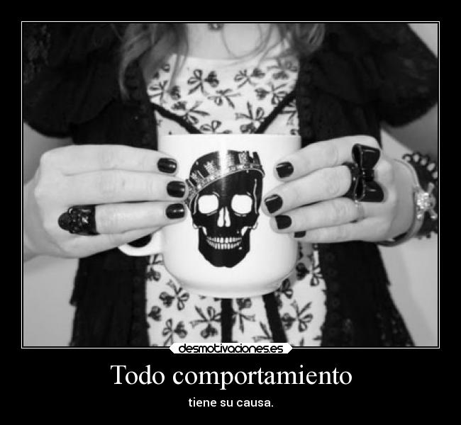 Todo comportamiento -