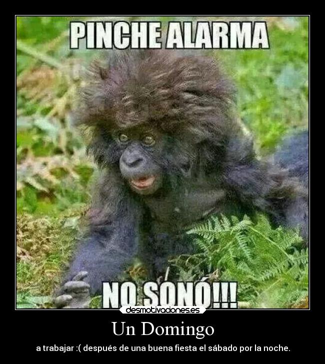 Un Domingo - a trabajar :( después de una buena fiesta el sábado por la noche.