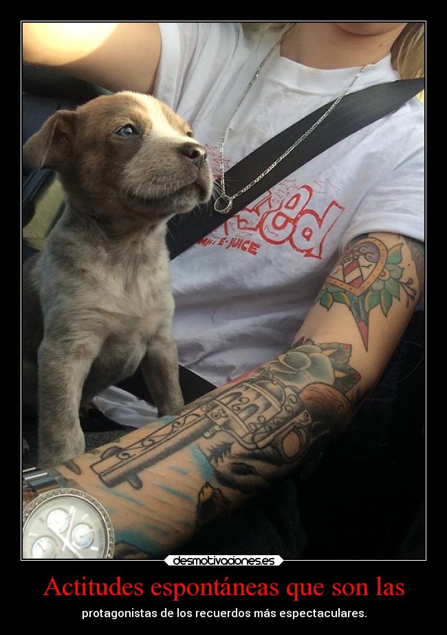 Actitudes espontáneas que son las - protagonistas de los recuerdos más espectaculares.