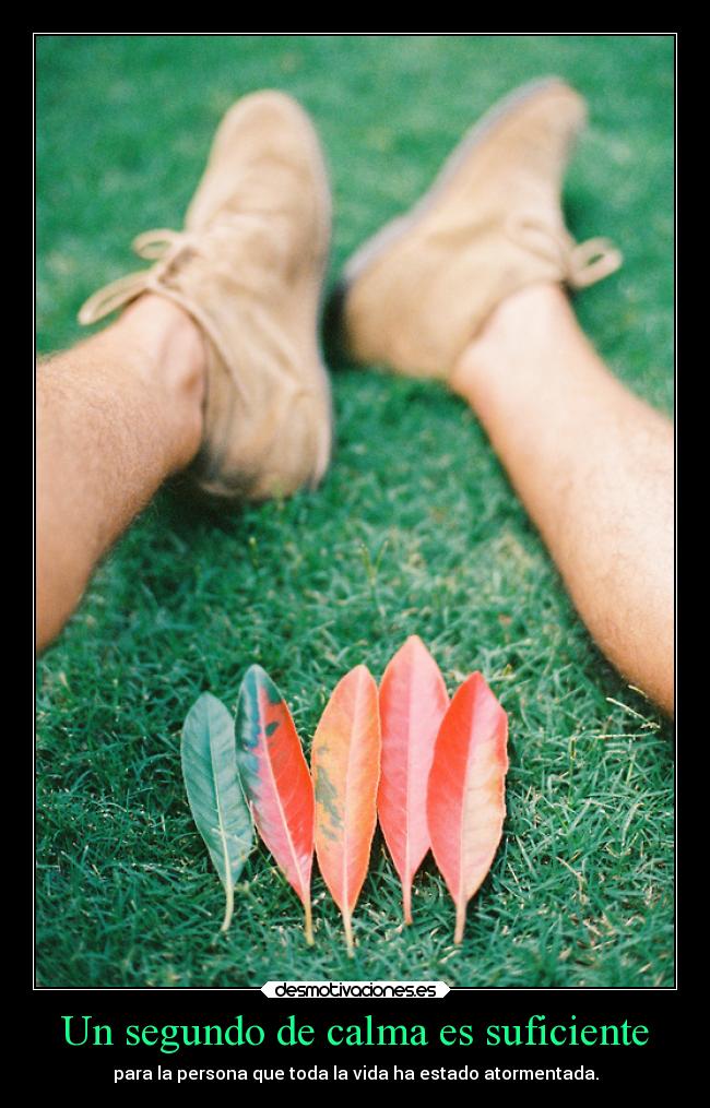 Un segundo de calma es suficiente - para la persona que toda la vida ha estado atormentada.