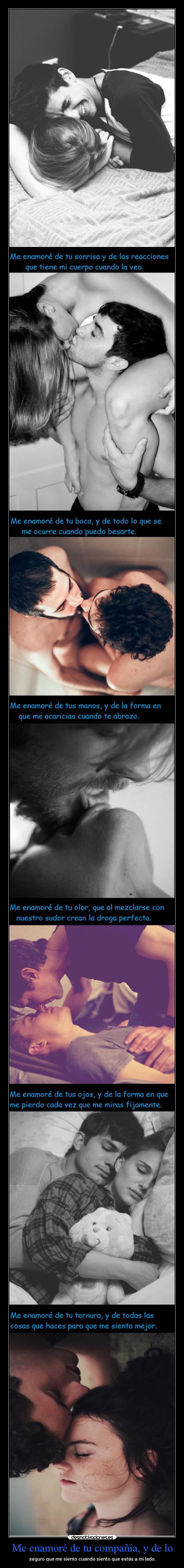 Me enamoré de tu compañía, y de lo - seguro que me siento cuando siento que estás a mi lado.