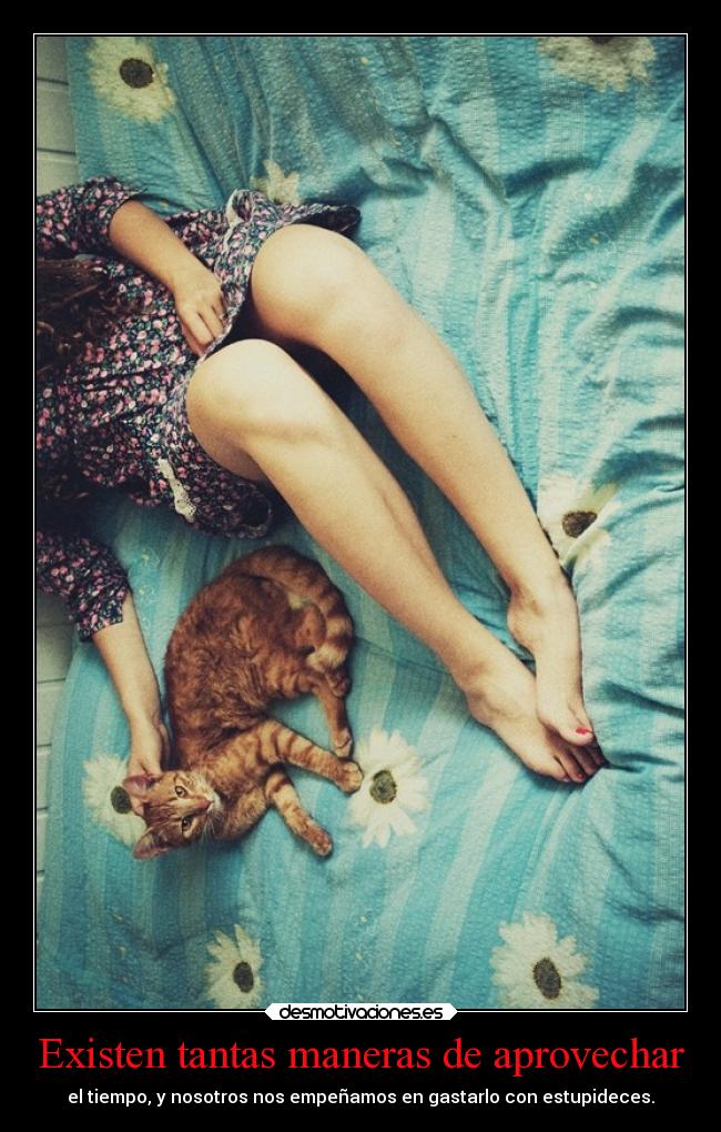 Existen tantas maneras de aprovechar - el tiempo, y nosotros nos empeñamos en gastarlo con estupideces.