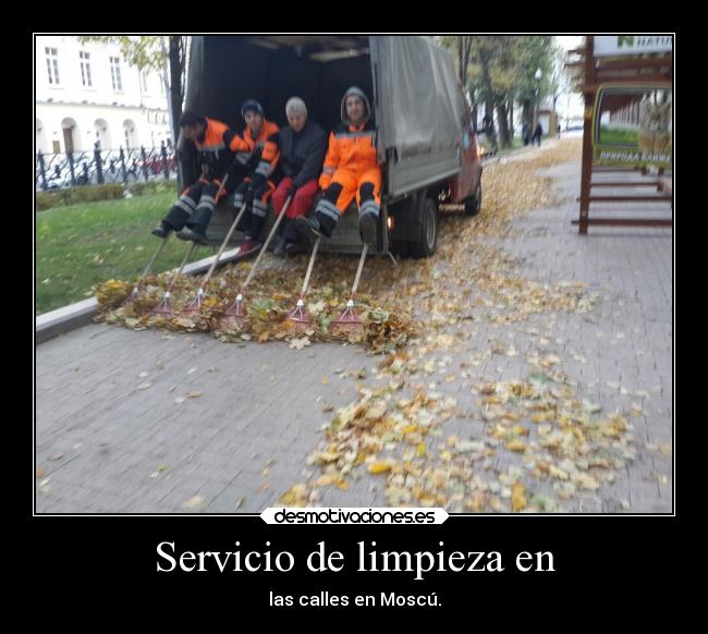 Servicio de limpieza en -