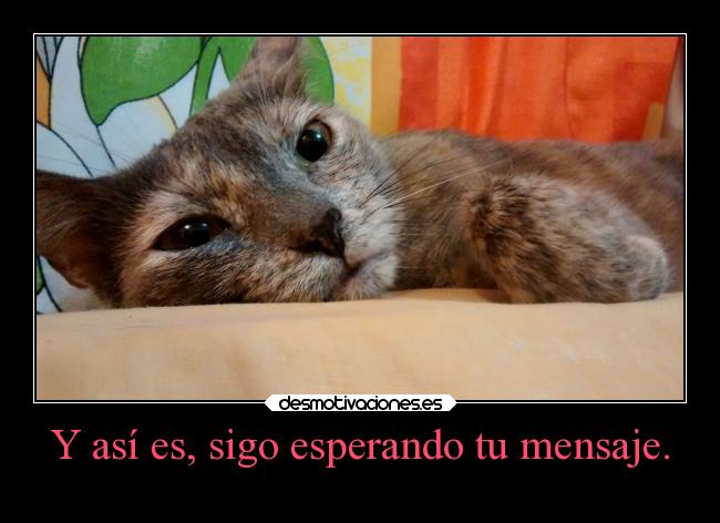Y así es, sigo esperando tu mensaje. -