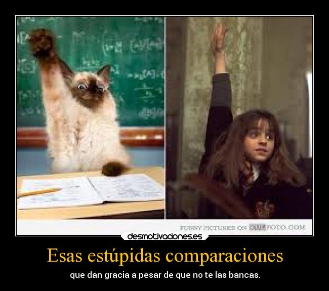 carteles desmotivaciones miss granger desmotivaciones