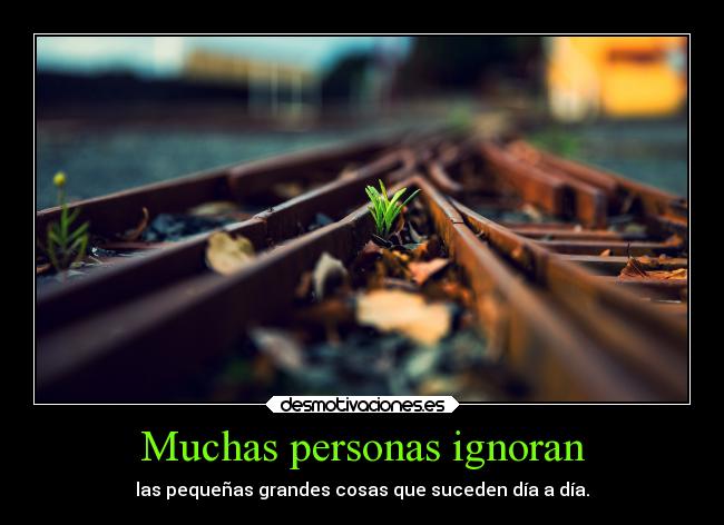 Muchas personas ignoran - las pequeñas grandes cosas que suceden día a día.