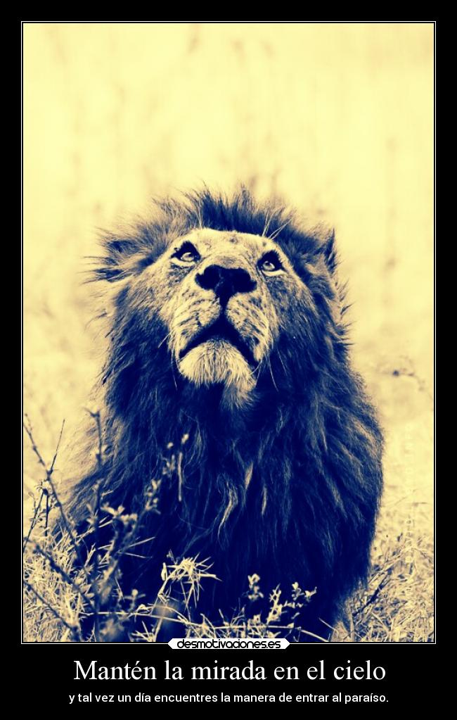 carteles desmotivaciones tristeza mundo vida perdon suplicio desmotivaciones