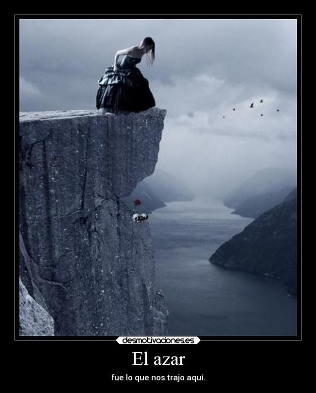 El azar - fue lo que nos trajo aquí.