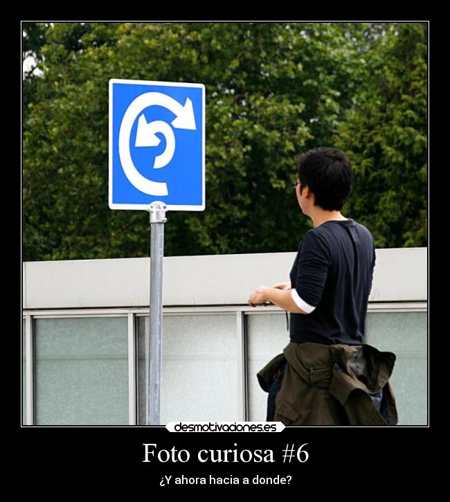 Foto curiosa #6 - ¿Y ahora hacia a donde?